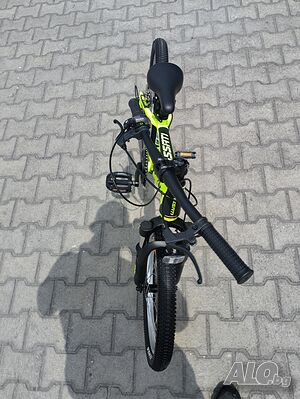 image_5