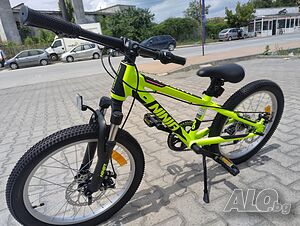 image_6