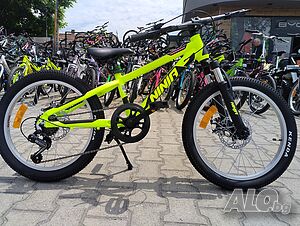 image_11