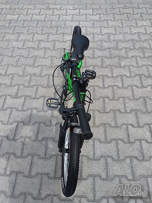 image_6