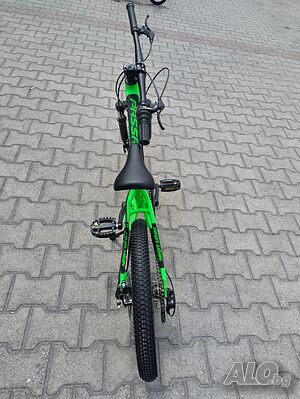 image_10