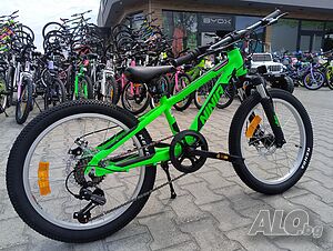 image_11