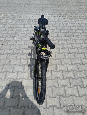 image_6