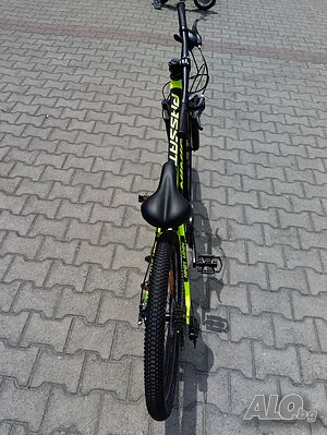 image_10