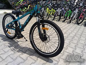image_5