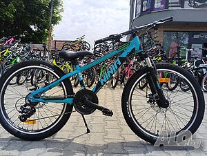 image_12