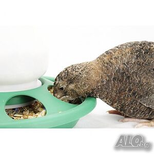 image_8