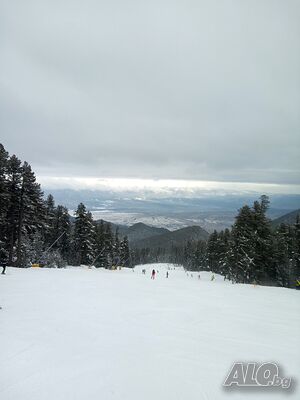 image_2