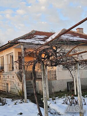 image_3