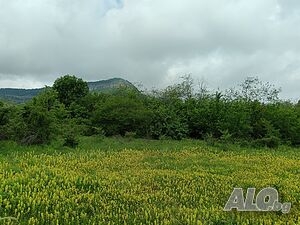 image_2