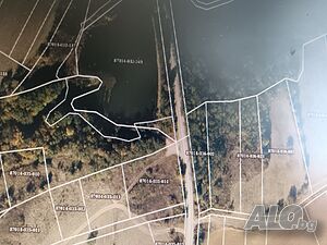 image_7