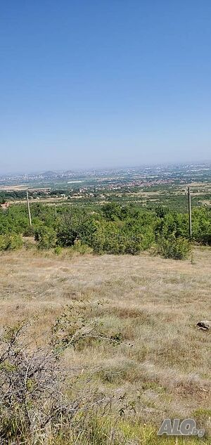🌳 **Парцел за Продажба в с. Брестник, Област Пловдив** 🌳