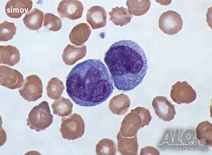 Азур - еосин по Романовски 99 % прах - багрило за микроскопско наблюдение.