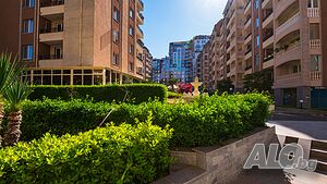image_51