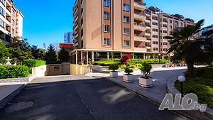 image_50
