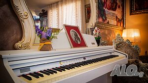 image_9