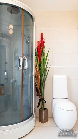image_44