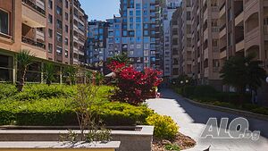 image_53
