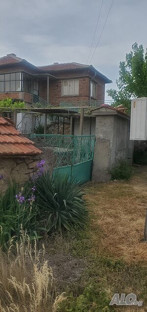 image_9