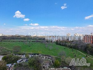 image_11