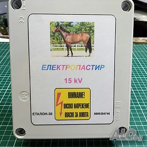 Електропастир - енергизатор