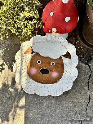 image_6