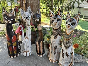 image_5
