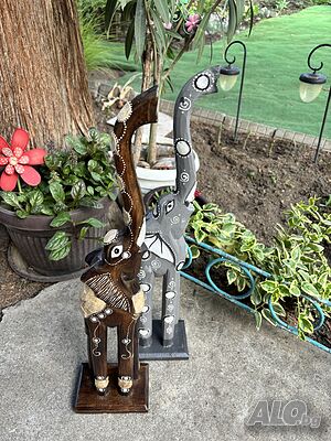 image_3