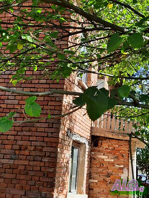 image_8