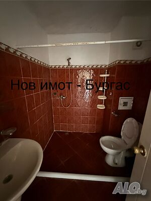 image_8