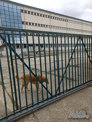 Сграда за складова и производствена дейност