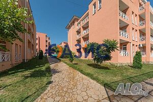 image_11