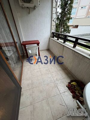 image_6