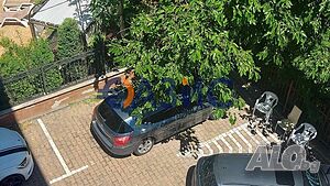 image_11