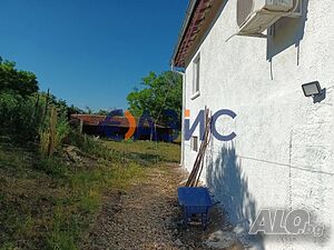 image_6