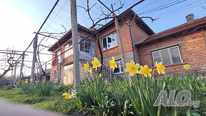 image_3