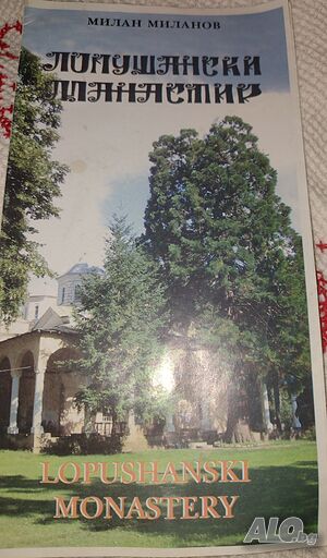 image_9