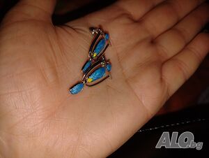 image_3