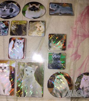 image_3