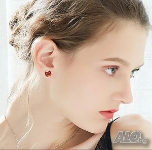 image_6