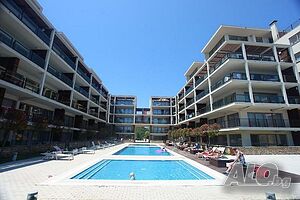 image_11