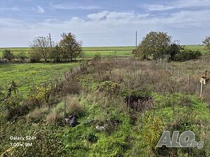 image_8