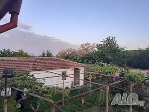 image_11