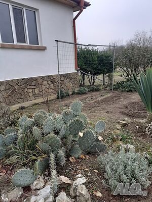 image_12