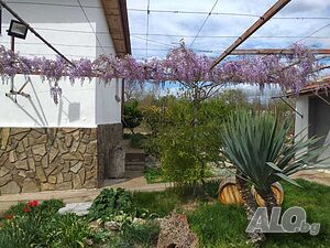 image_15