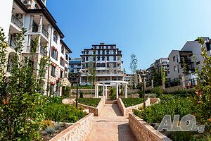 image_11