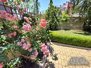 image_15