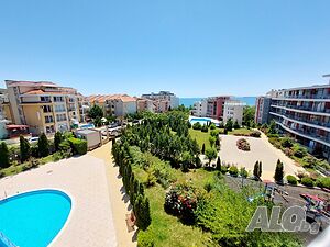 image_11