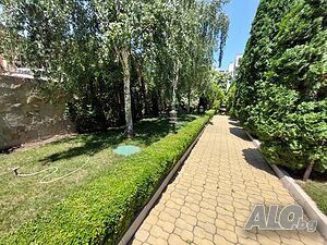 image_12