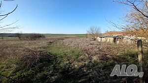 image_3